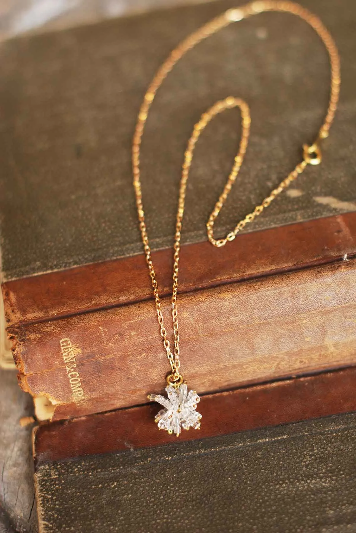 Charming Rhapsody Necklace