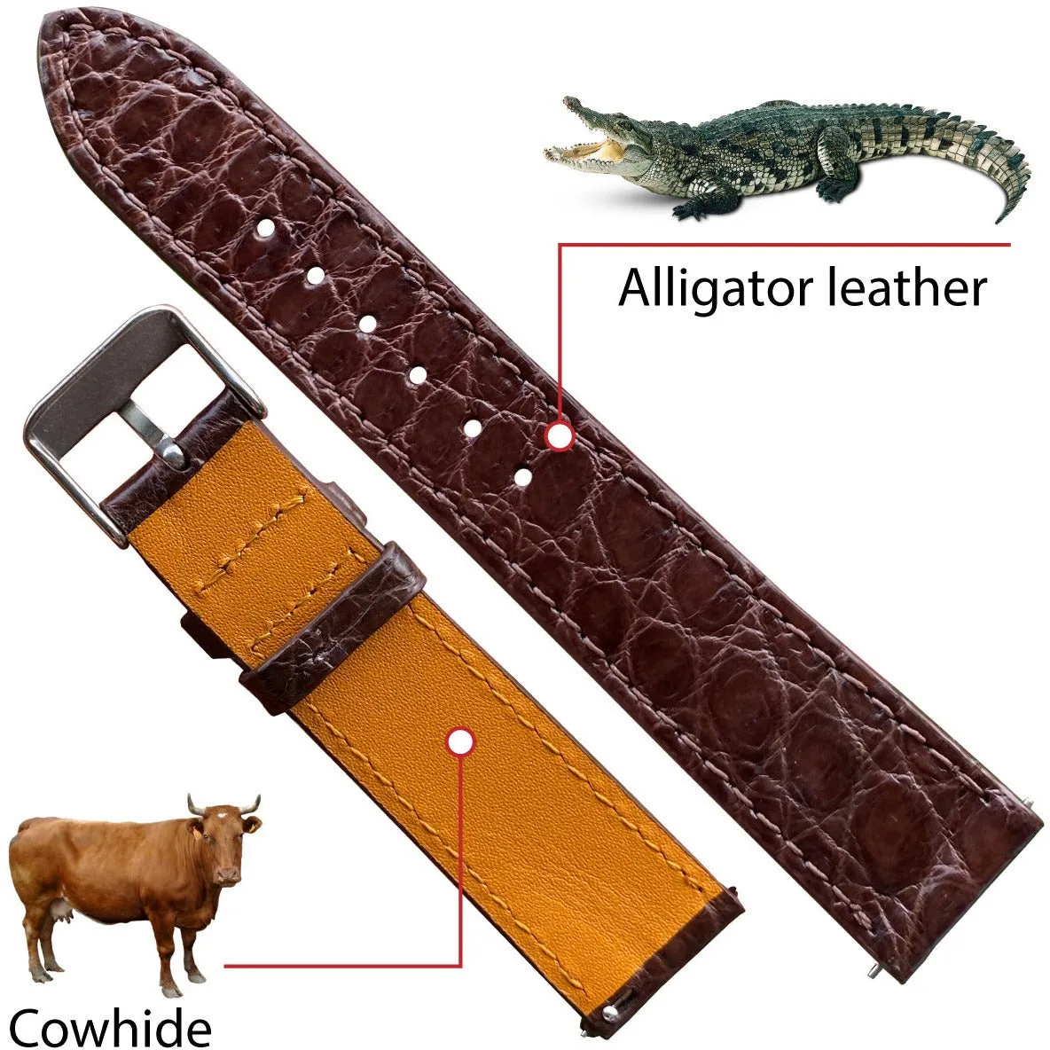 Dark Brown Flat Alligator Leather Watch Strap Men | No-Padding Smooth Gator Wristwatch Strap | DH-23