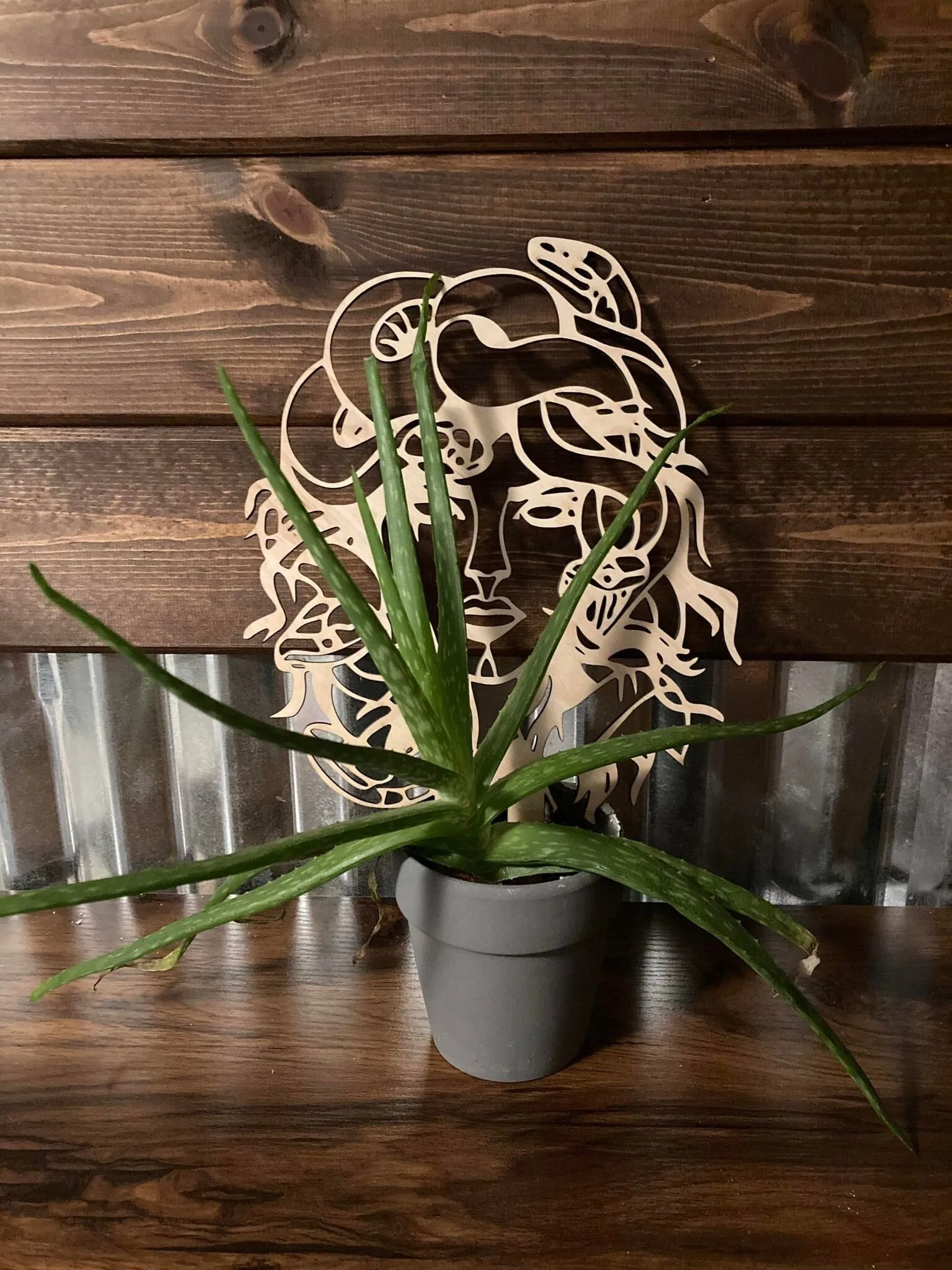 Medusa Snake Trellis  | Plant Trellis  | Houseplant Trellis | Indoor Garden Trellis  | Insured Shipping