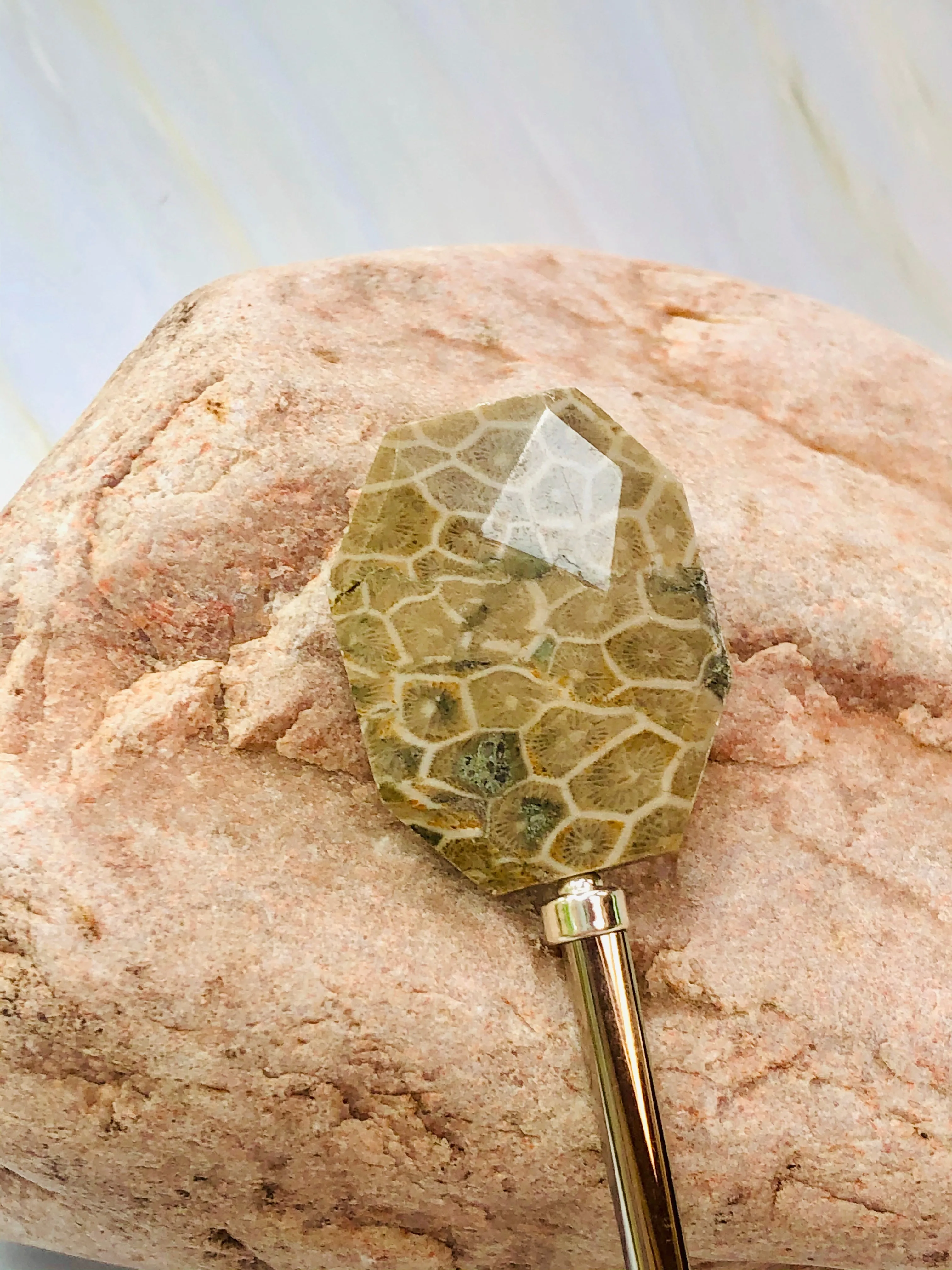 Petoskey Stone Faceted gemstone hair sticks, shawl pins