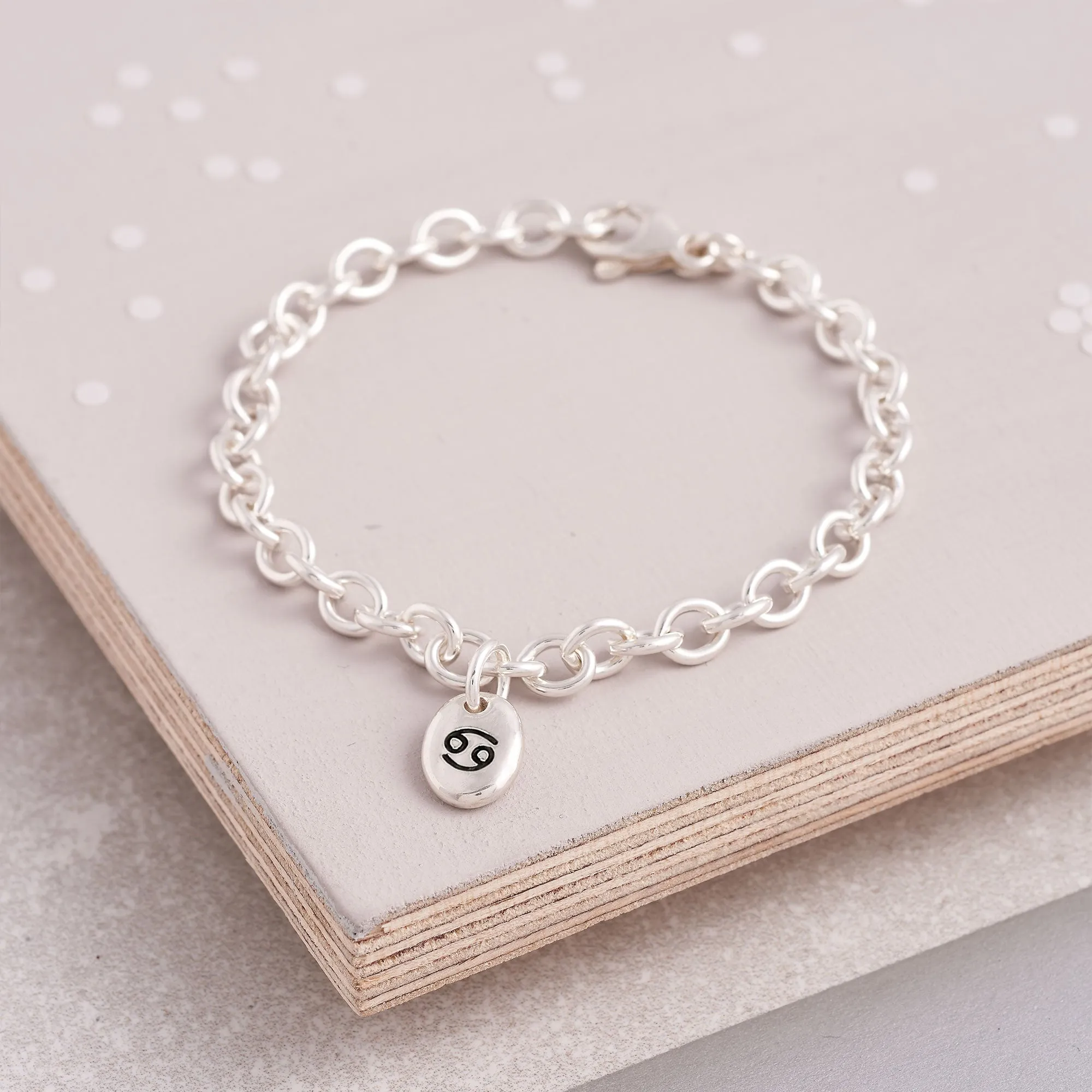 Zodiac Pebble Silver Charm