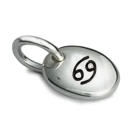 Zodiac Pebble Silver Charm