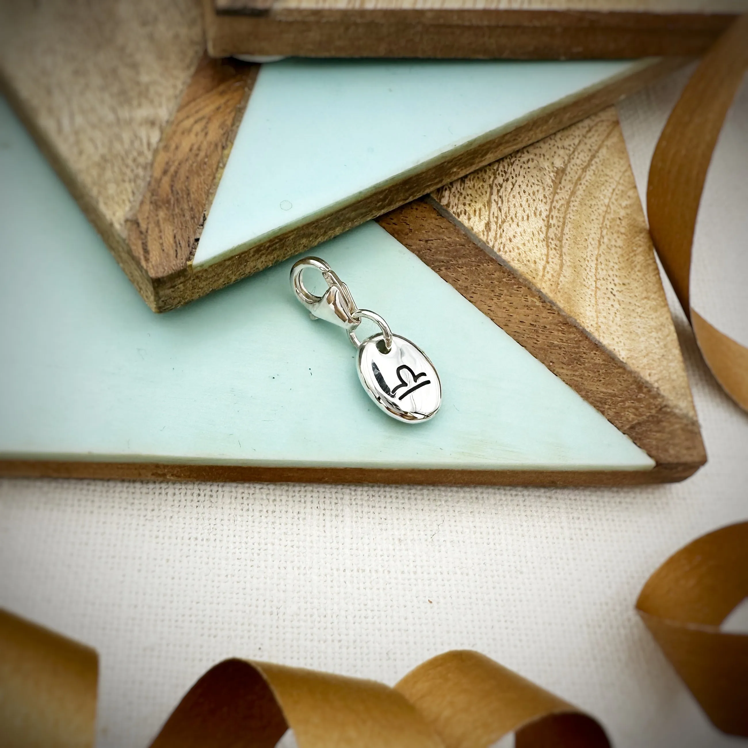 Zodiac Pebble Silver Charm